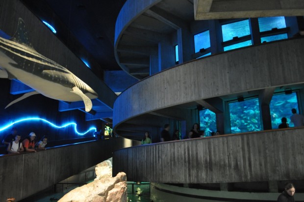 10 самых больших и удивительных аквариумов мира