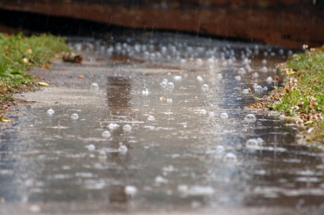 5 интересных фактов о дожде