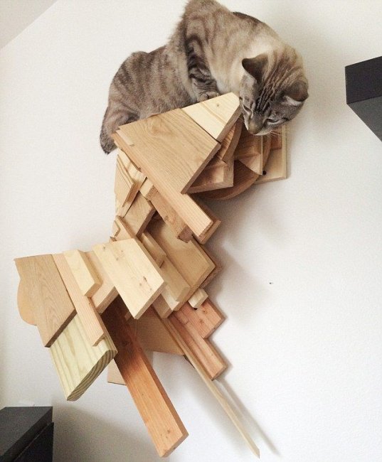 Мебель, сделанная специально для котов