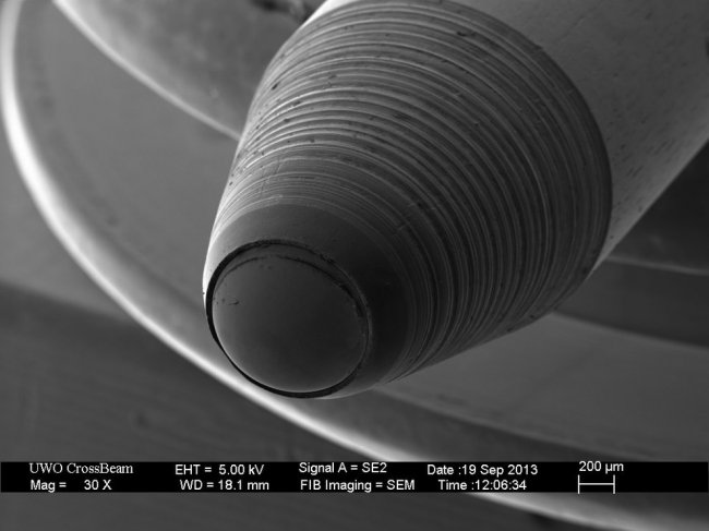 Как выглядят вещи под микроскопом
