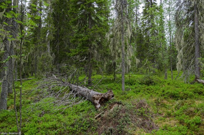 Путешествие по месту, далекому от городской суеты