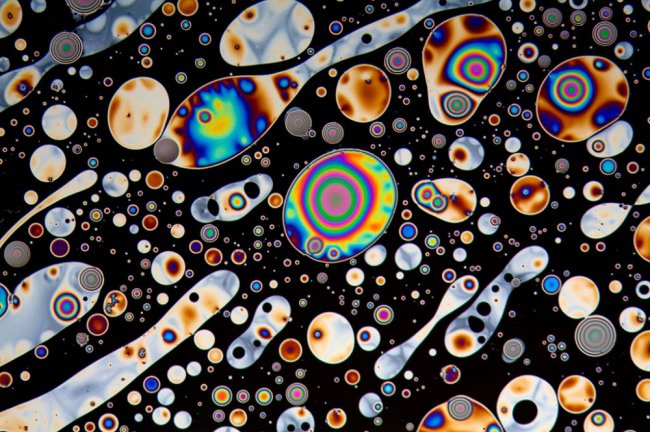 Этот парень открывает удивительные миры через объектив микроскопа