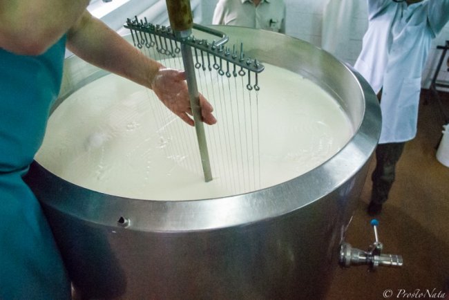 Как делают настоящий украинский сыр