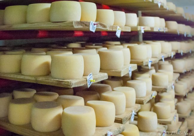 Как делают настоящий украинский сыр
