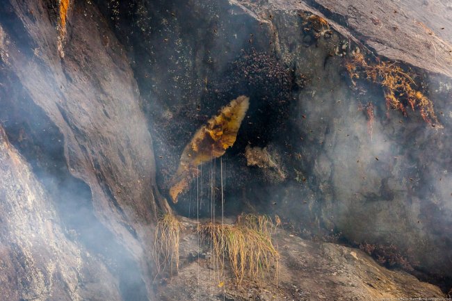Неизвестные Гималаи: охотники за медом диких пчёл. Часть 2