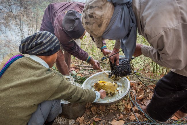 Неизвестные Гималаи: охотники за медом диких пчёл. Часть 2