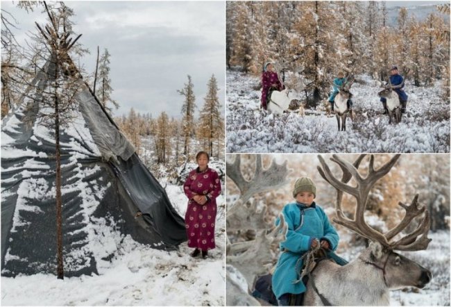 В гостях у семьи монгольских оленеводов