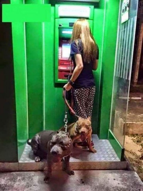 Лучшая защита от грабителей у банкомата