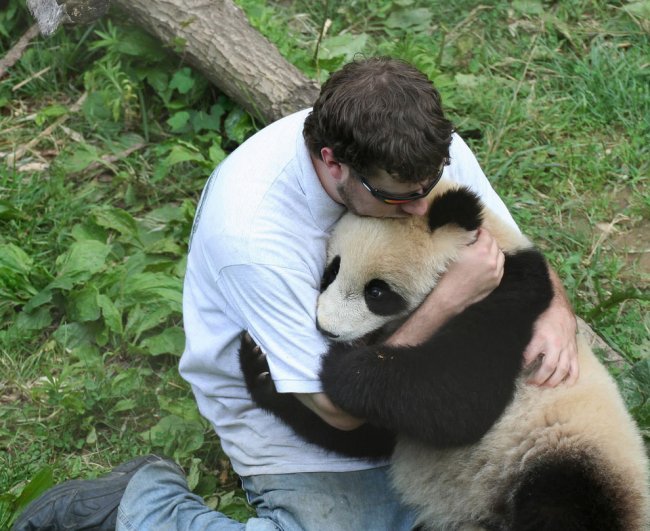 Крупнейший питомник панд