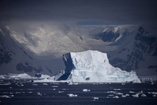 Мир Антарктиды
