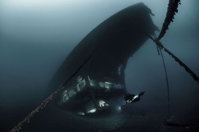 Победители конкурса подводной фотографии 2019