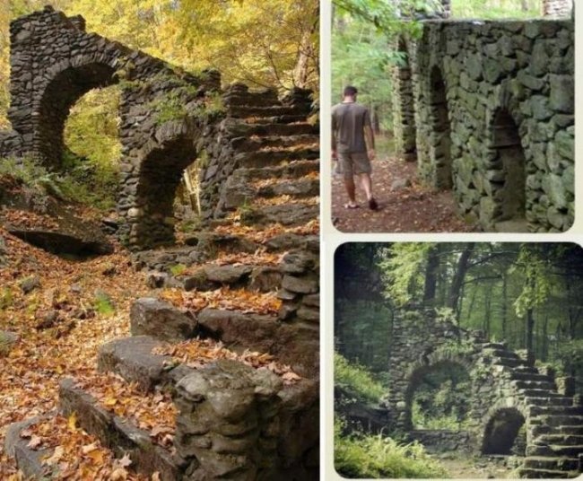 Таинственные лестницы, затерянные в лесных дебрях (6 фото)