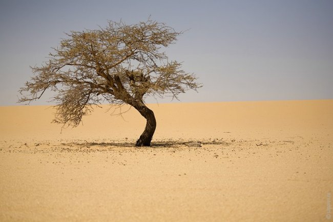 Путешествие по пустыне Сахара