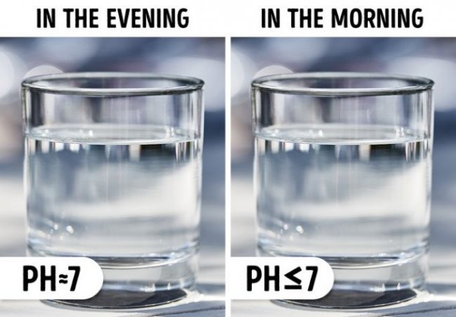 Почему утром нужно пить свежую воду (6 фото)