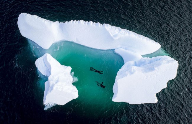 Сцены из Антарктиды