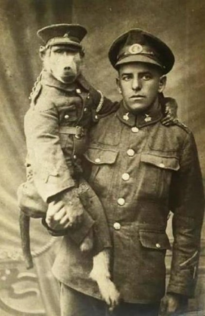 История капрала Джеки — самого необычного героя Первой мировой войны