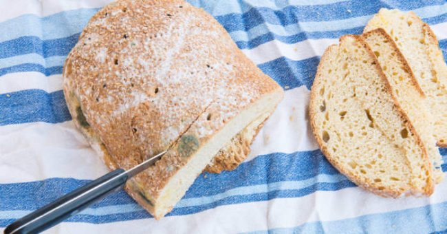 Хлеб с плесенью: выбросить или обрезать и съесть