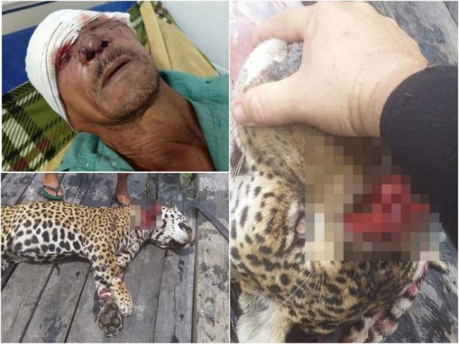 В Бразилии сын убил ягуара, который лишил глаза его отца