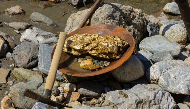 Сколько золота нашли кладоискатели во время золотой лихорадки в Аляске