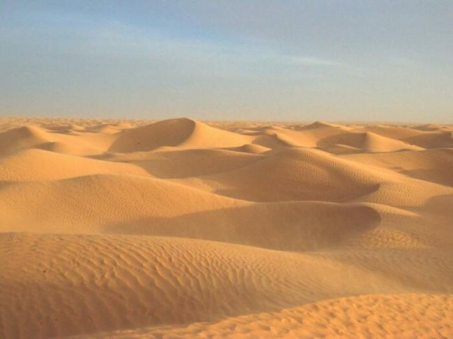 Зачем Саудовская Аравия покупает песок в других странах