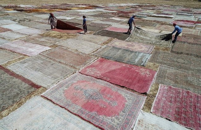 Зачем в Турции раскладывают ковры на полях