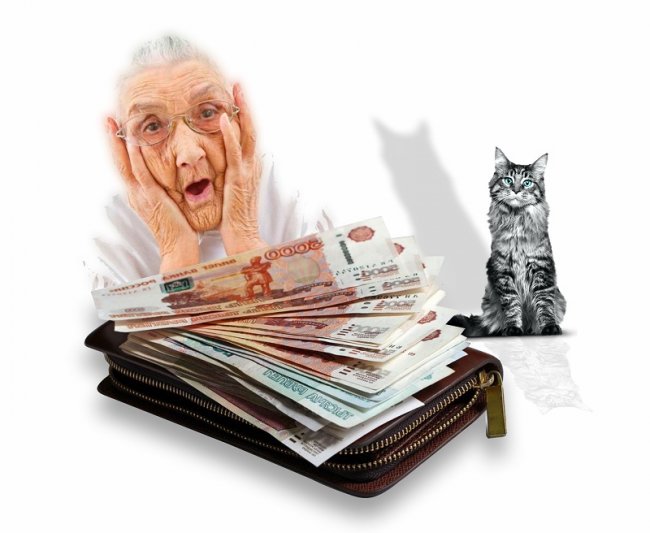 70-летняя жительница столицы украла у 96-летней знакомой миллион рублей