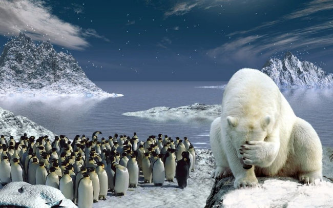 Почему Арктика теплее Антарктики