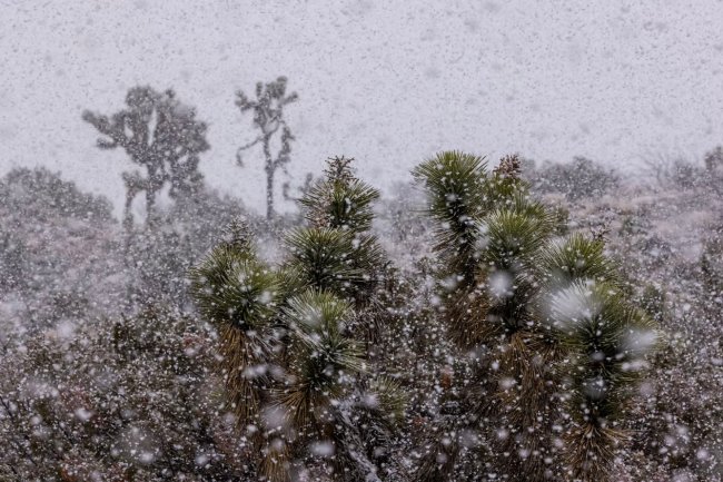 Снежная буря в Калифорнии