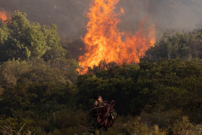 Лесные пожары в Греции на острове Родос