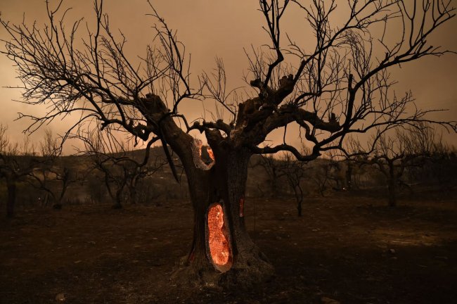 По всей Греции бушуют лесные пожары