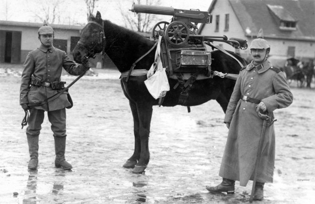 Животные Первой Мировой войны