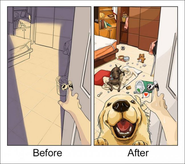 Жизнь до и после заведения собаки
