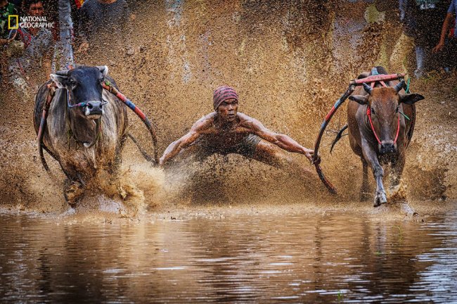 National Geographic: лучший природный фотограф года