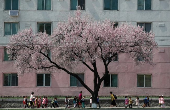 Фото жизни людей в Пхеньяне