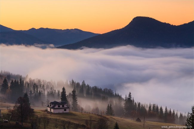 Там, где живут туманы