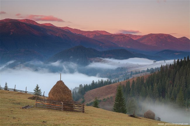 Там, где живут туманы