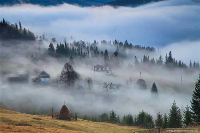 Там, где живут туманы