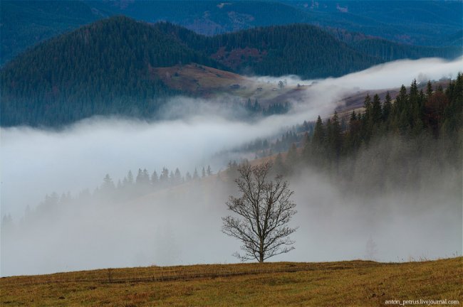 Там, где живут туманы