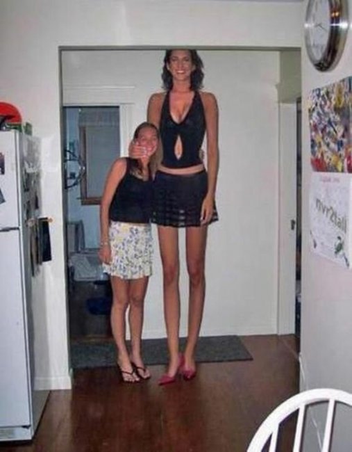 Девушки высокого роста (18 фото)