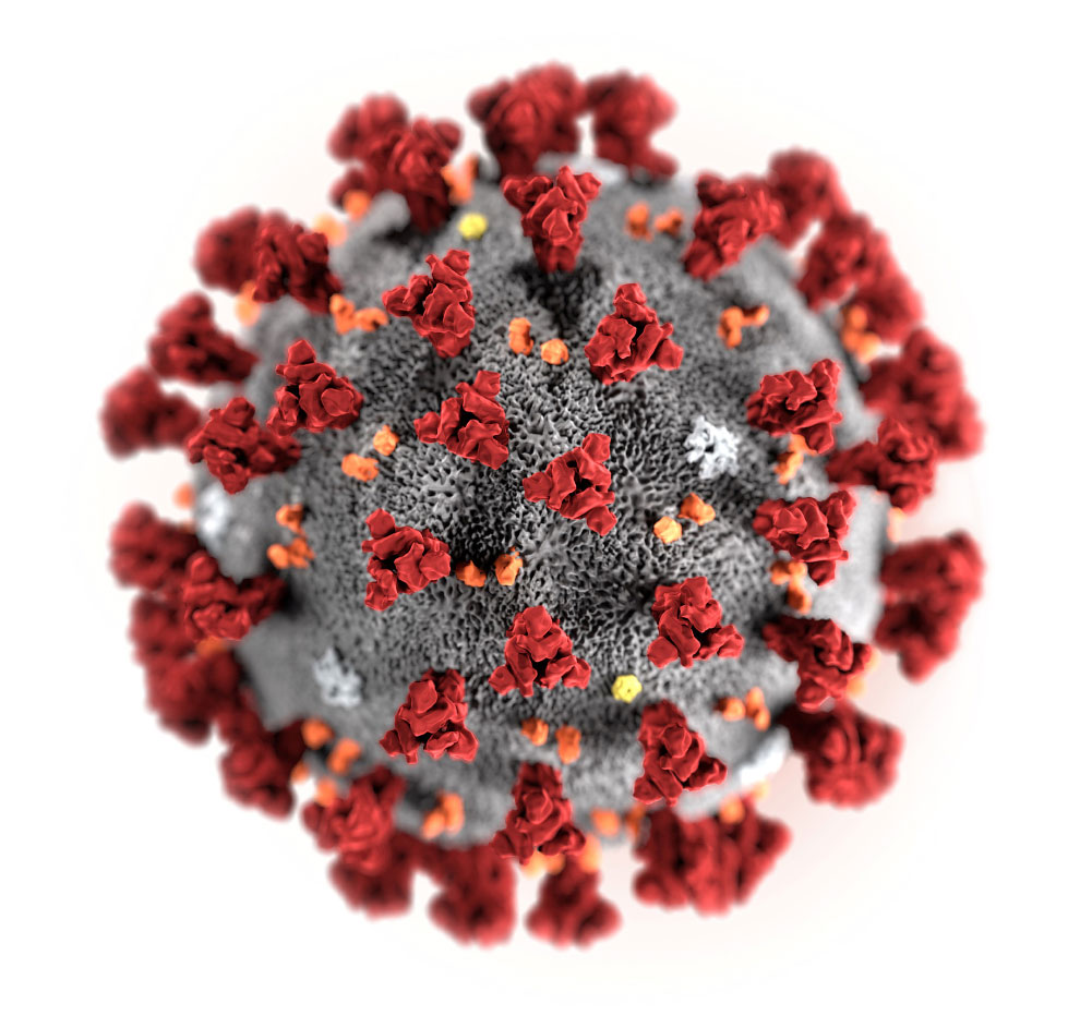 Вирус Covid-19. Вирус коронавирус. Вирус ковид 19. Вирус коронавирус 3д. Организация коронавируса