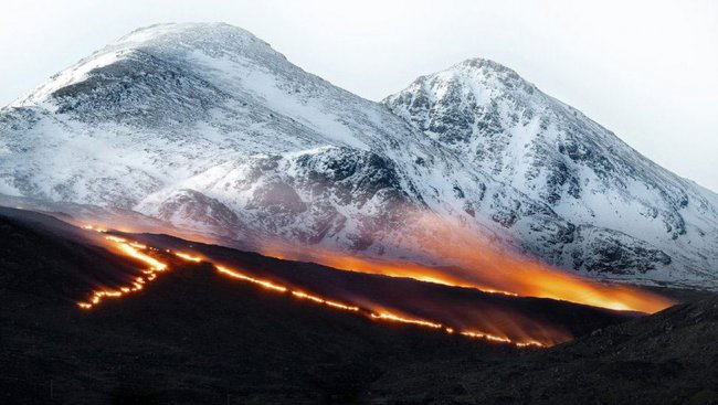 Шотландский коркурс фотографий природы Scottish Nature Photography Awards