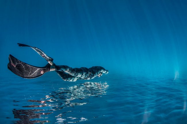 Лучшие фотографии из жизни океанов Ocean Photographer of the Year 2023. Час ...